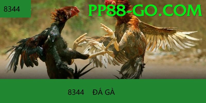 Trường Đấu Đá Gà Chuyên Nghiệp - Game mô phỏng